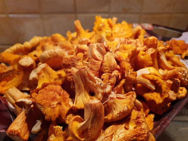 Gălbiori curățați