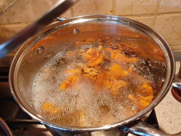 Zeamă (stock) de gălbiori